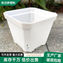 ���÷����ɫ������������ϻ���С�ڏ�����Nֲ�����lֲ�����籭