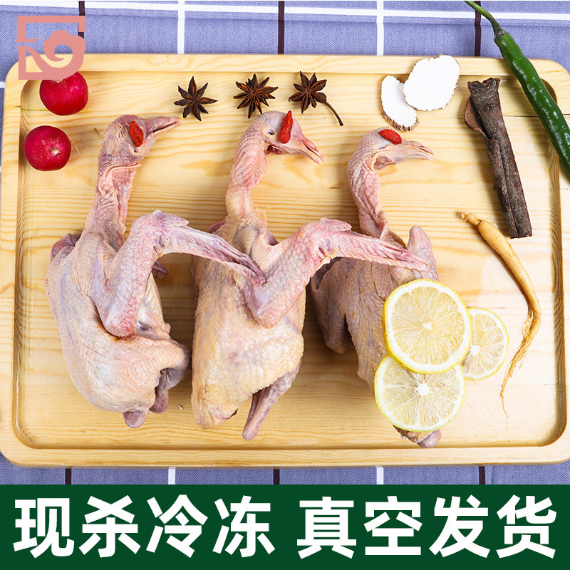 Pigeon Kills Pigeon Meat Pregnant Women, Elderly Children Pigeon Food Single 300g Shunfeng