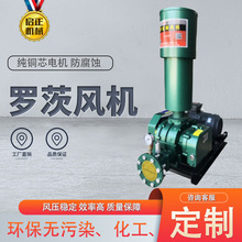 厂家直供CCR-65罗茨鼓风机曝气机水处理用气力输送用罗茨风机