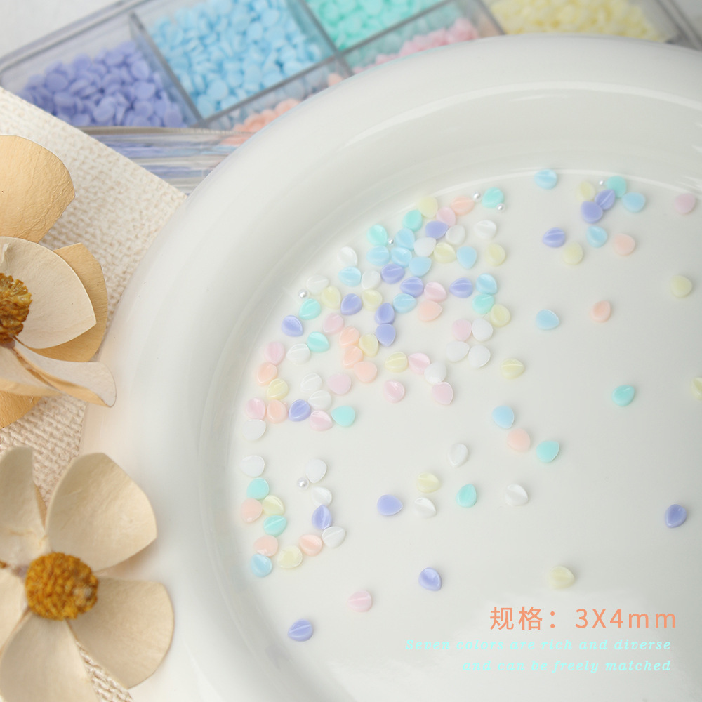 무작위로 혼합된 색상 - 꽃잎