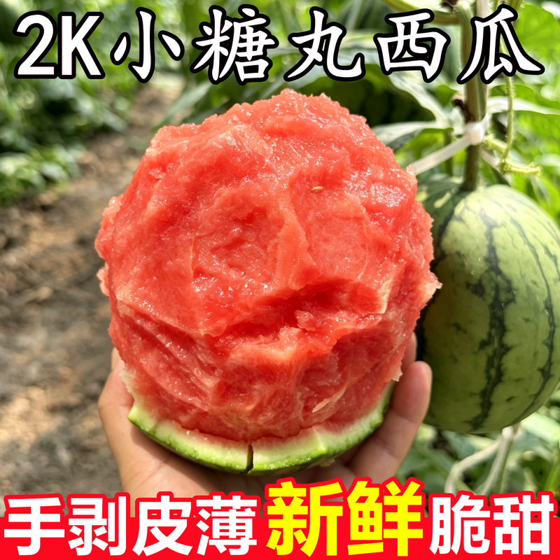 Authentic 2K Small Sugar-Coated Watermelon Fruit, Fresh Seasonal Crisp Sweet Juicy Hand-Torn Small Watermelon, Whole Box Wholesale Authentic 2K Small Sugar-Coated Watermelon Fruit, Fresh Seasonal Crisp Sweet Juicy Hand-Torn Small Watermelon, Whole Box Wholesale
