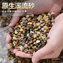 鱼缸底砂溪流石头子装饰铺底水族箱造景天然河沙原生南美缸沙