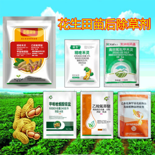 �������ݾ�୺��`+��Ч�����׺��`+���ȷ�����+��������+ֲ����