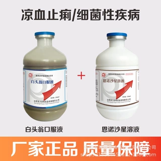恩诺沙星支原体感染细菌性疾病白头翁清热解毒凉血止泄痢下痢脓血