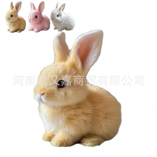 �羳ë�q��߹�����ż������ɫ���Ӻ��}���ͻ���նY��