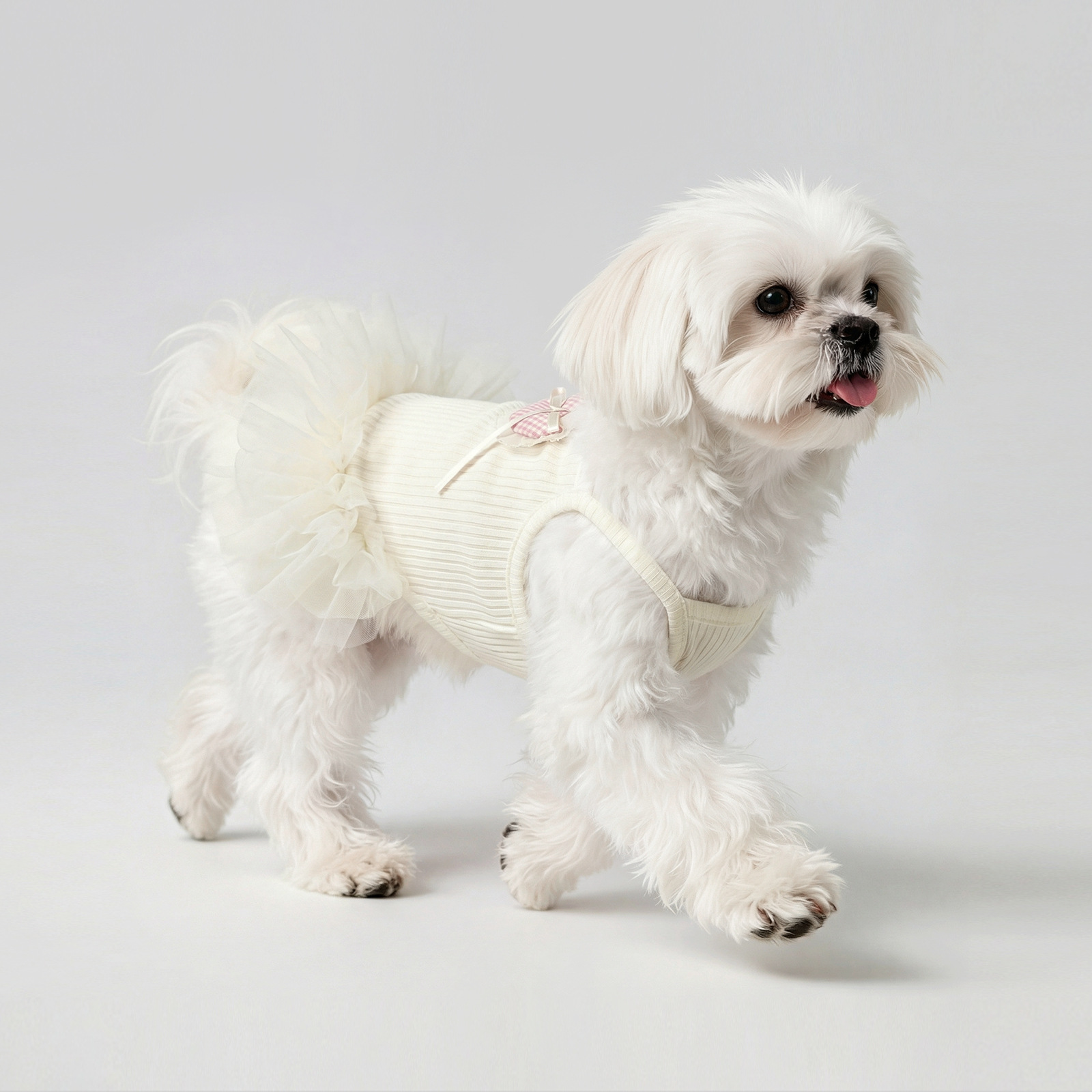 Vêtements d'été pour chiens, robe gilet fine en dentelle anti-mue pour chats, petits chiens à dégradé doré, Teddy, Bichon_voghion.com