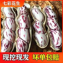 5���߲ʻ�������ն��߲ʕ����ʻ����������컨����ʳ