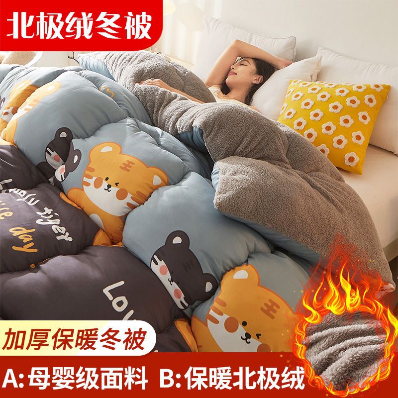 Lamb Wool Cotton Quilt Winter Thickened Warm Quilt Core Quilt Student Dormitory Bedding Single Dormitory