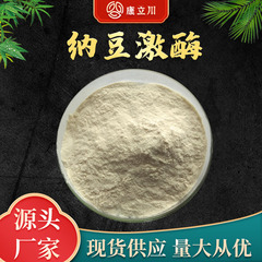 ナットウキナーゼ・20000fu活性納豆菌粉納豆エキス【100g/袋現物郵便】