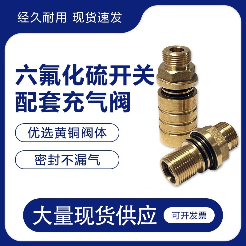 定制六氟化硫配套开关充气阀充电柜充气阀充气坐