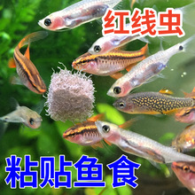 ���ɾ��xճ�N�N�K�~ʳ�Ꭷ�~��ȸ�~����^�p�~���~�\��С�����