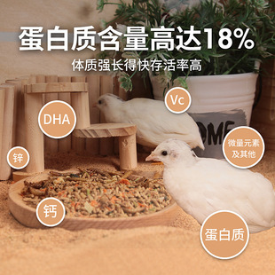 �J���u��ό������r�a���Z����x�Zʳ�u�_���g���Zʳ�R������ʳ��