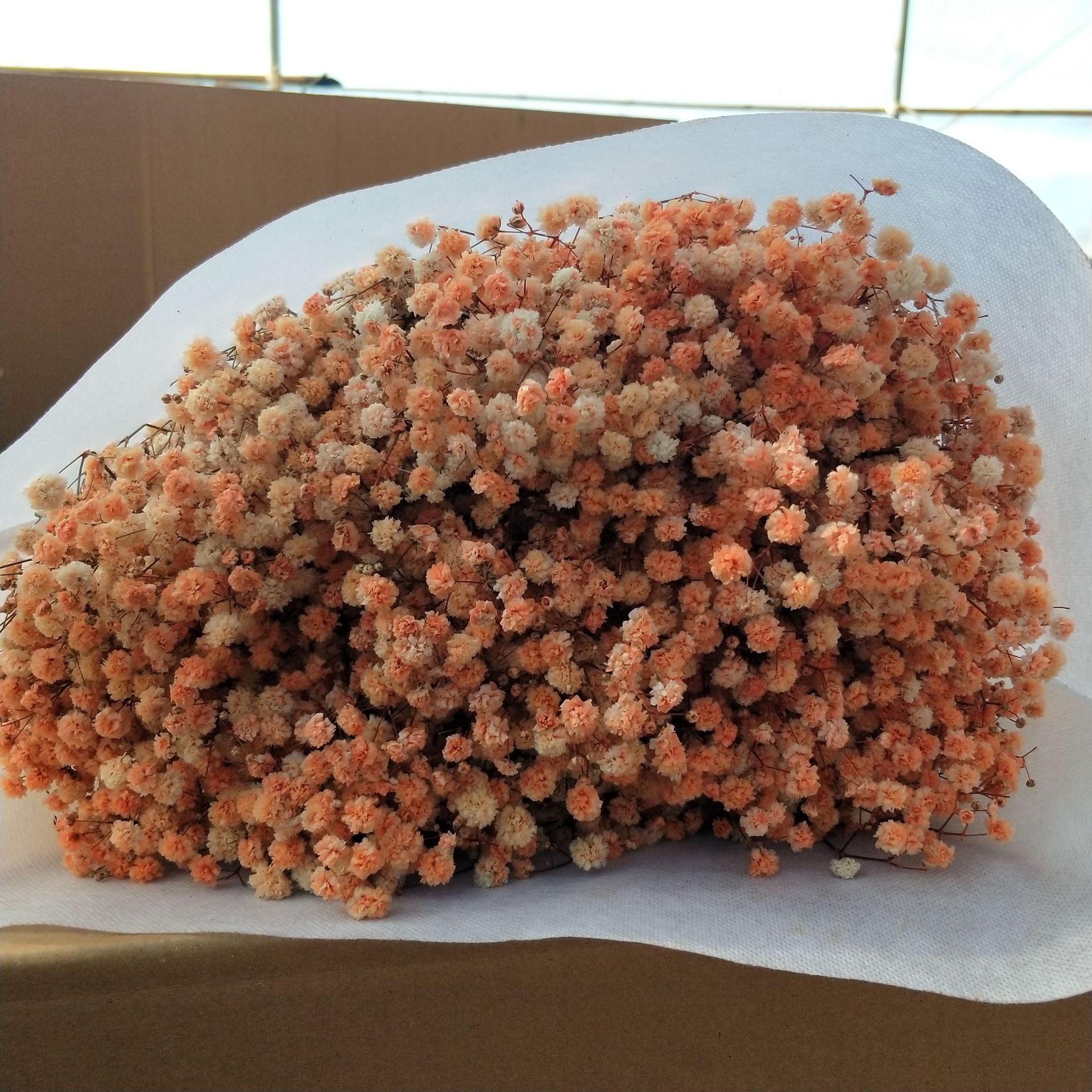 微信图片_20211210003401