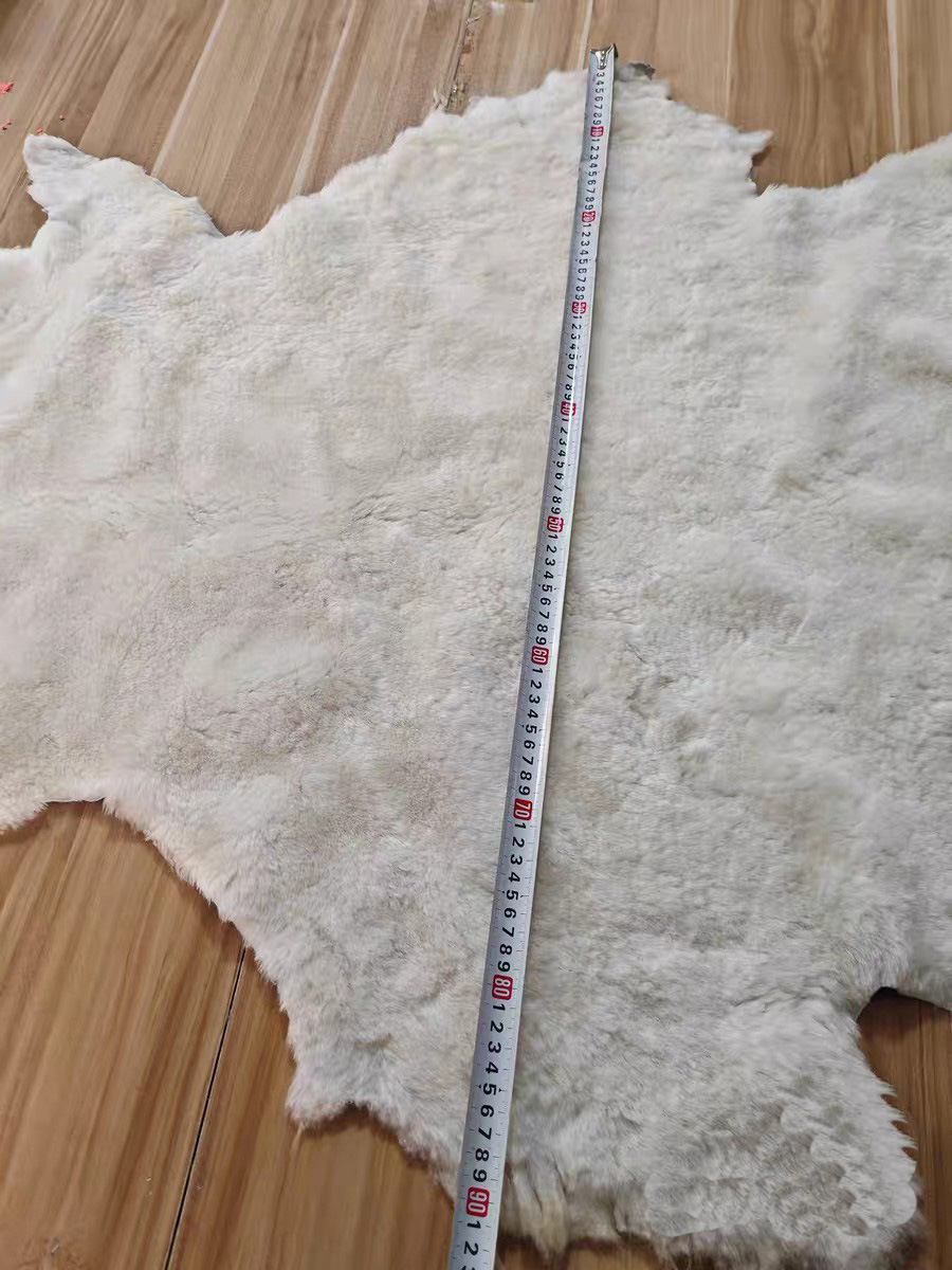 9CE894E59287B19CF595A6E75BEBD3