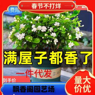 һ�����l�������������Ԏ������d�ӻ���ֲ���҃Ⱥ��B�Gֲ������