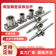 微型精密滚珠丝杆 SFK0601/0602/0802/1002/1202小型滚珠丝杠螺母