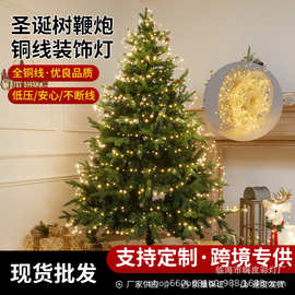 新品led铜线鞭炮灯圣诞节日布置铜丝灯串室内房间氛围装饰彩灯串