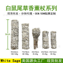 进口加州白鼠尾草批发雪松鲍鱼壳White Sage天然植物香薰净化草杖