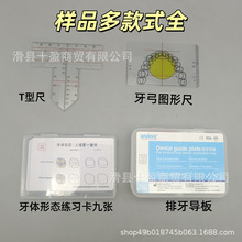口腔牙科模型测量尺简易全口义齿牙弓角度测量尺 全口蜡堤排牙尺