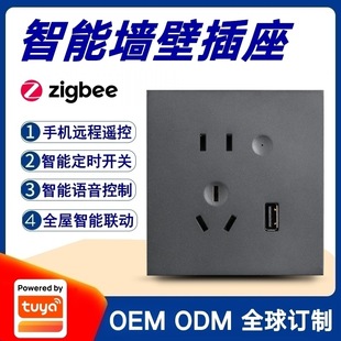 Graffiti Solution Zigbee Smart Wall Socket 86 Bottom Box Mobile Phone Remote Control Timing Switch Voice Control