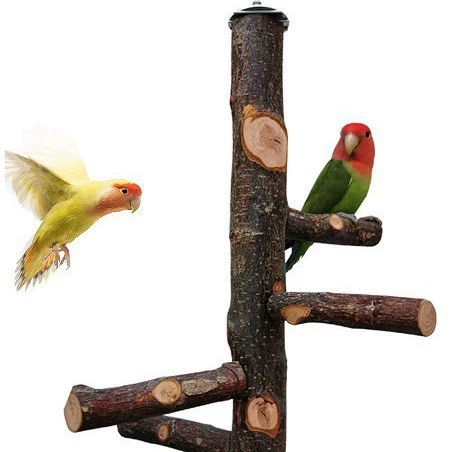 Подставка для попугая из дерева Amazon Apple, подставка для птиц из цельного дерева, деревянная игрушка для птиц, спиральная лестница для домашних животных