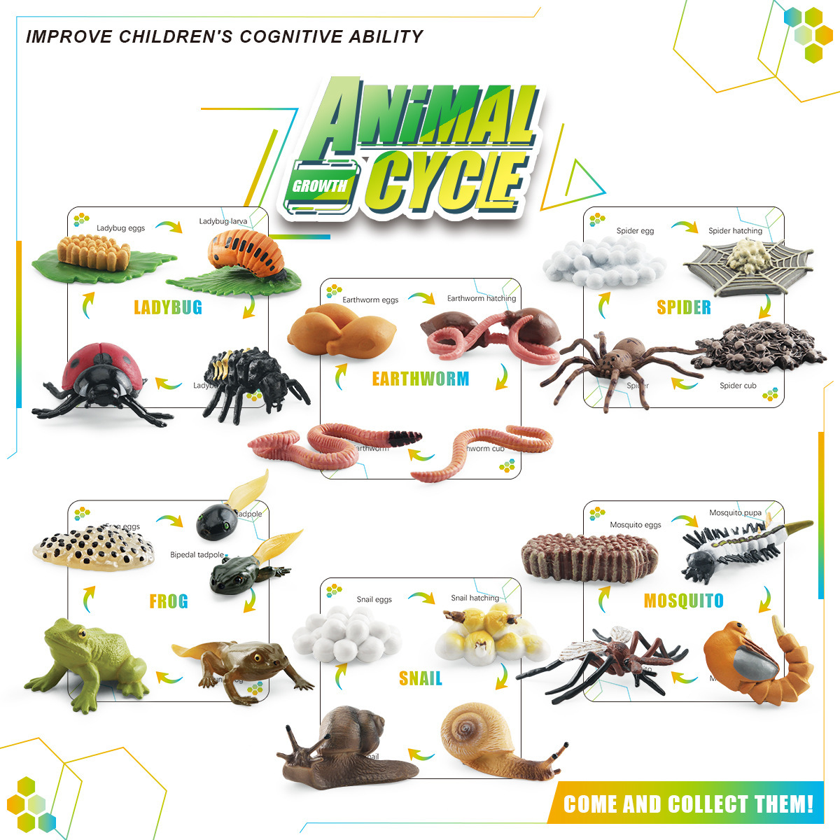 Simulación transfronteriza lombriz de tierra mosquito araña mariquita Rana modelo animal y planta ciclo caja de almacenamiento traje