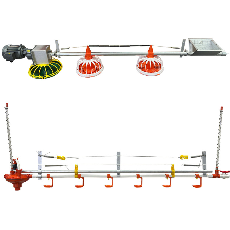 Sistema automático de equipos de alimentación de pollos de engorde para pollo de engorde a sueldo línea de agua de granja de bandeja de material