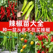 �������ݽz����ʽ��������˽�������N�ѳ��콷�����������߲���