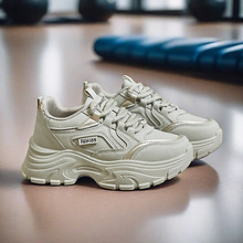 insŮЬ¿ϵЬŮ2024\ܲЬeЬ8821