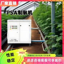 大型工业制氧机厂家高原纯氧机高浓度工业助燃水产养殖PSA制氧机