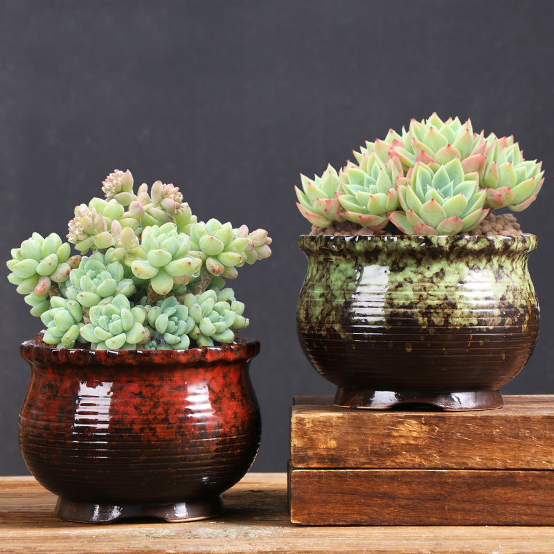 Qunsheng suculentas maceta arcilla de gran diámetro balcón hogar planta carne cerámica especial fábrica al por mayor directa