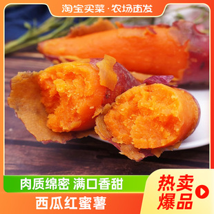 ���ϼt�����д�������t���r���ԷN�t�ĵعϿ��������r��
