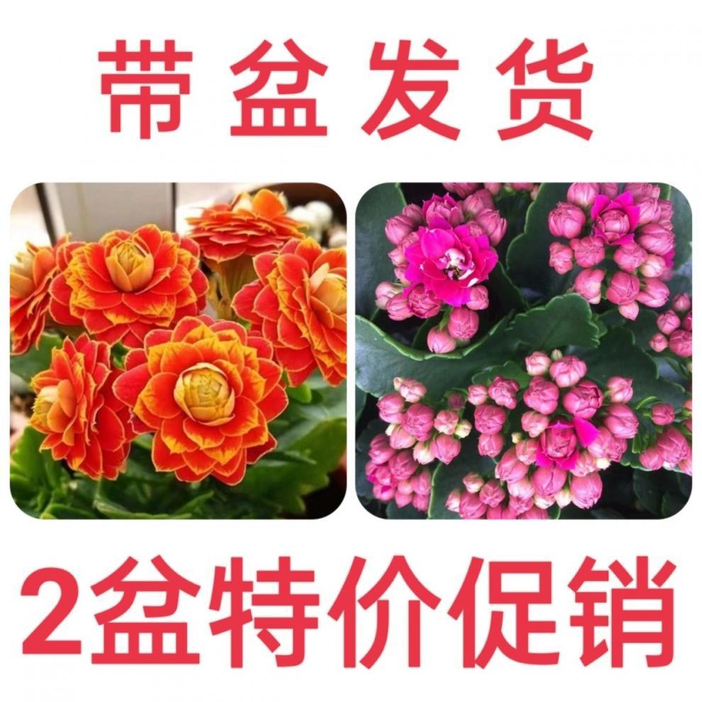 e807147c-c02b-4248-adb3-59bfd714ede8.jpe