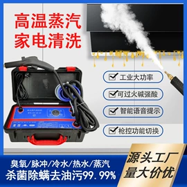 蒸汽清洗机
