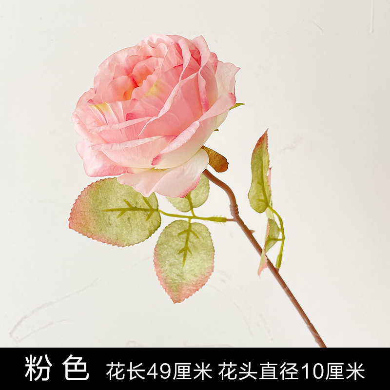 분홍색