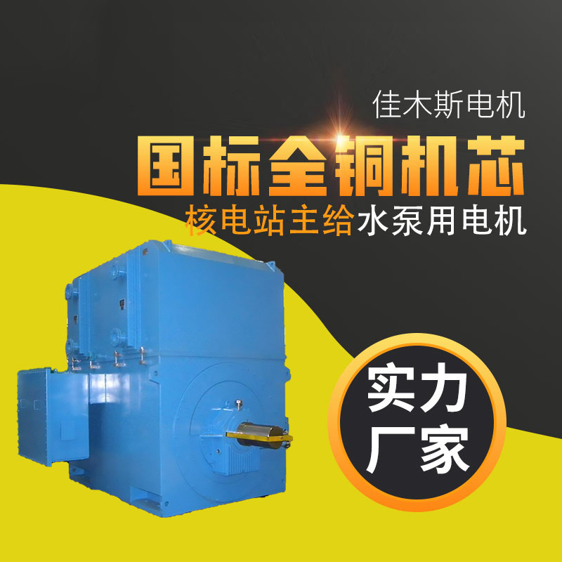佳木斯电机HYKS1000-4核电站主给水泵用电动机全铜电机315kw160kw