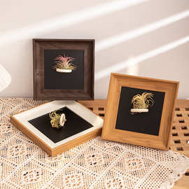 空气凤梨磁吸款相框摆台装饰画客厅桌面绿植摆件生日送朋友挂墙框