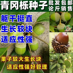 �������N�陵�N���N�������N�������t��t���������������N��
