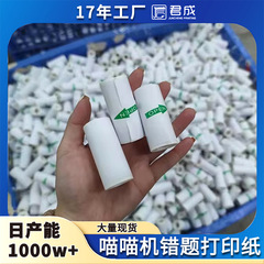 ニャーマシン印刷用紙 10年紙 子供用カメラ カラー印刷用紙 粘着式連続粘着ラベル用紙