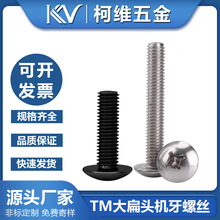 TM铁镀镍大扁头螺丝M3M4M5M6伞头圆头螺钉大盘电子微型家电小螺丝