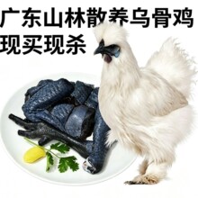 ���u���r�F�����u�����u����u�����r��ɢ�B�ߵ��u�r��������z�u