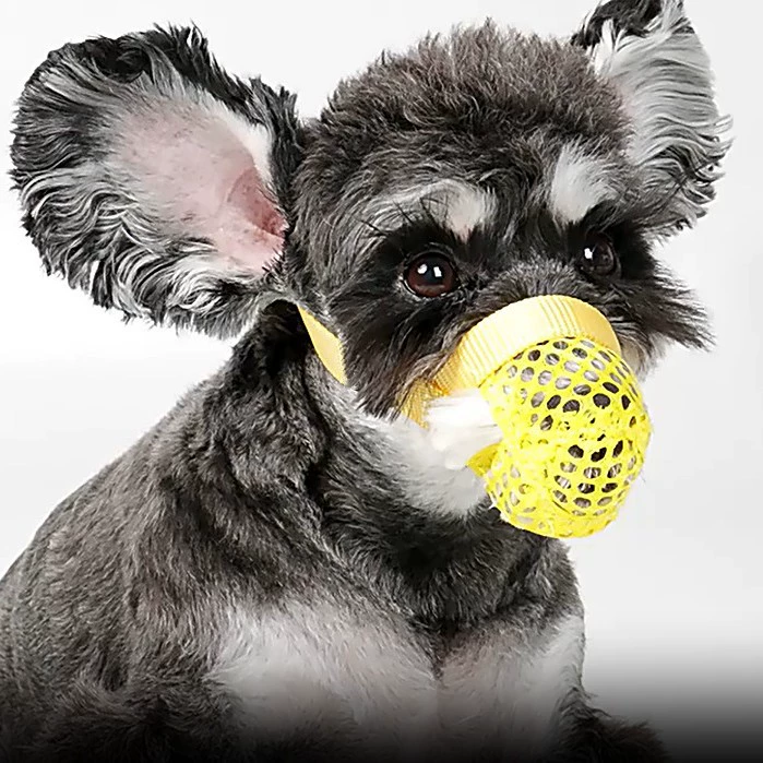 Намордник для собак против укусов, специальная крышка для рта для выгула собак, позволяет пить воду, предотвращает лизание, предотвращает случайное поедание, предотвращает разборку, дышащая маска для собак