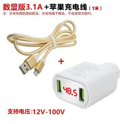 3.1A 폭발 화이트 12-100V + 애플 라인