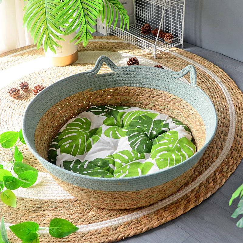 씨블루 기본모델 + 그린리프 코튼 패드