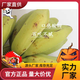 广西牛蕉大蕉大芭蕉牛角蕉板蕉广西特产5斤大果新鲜无催熟剂