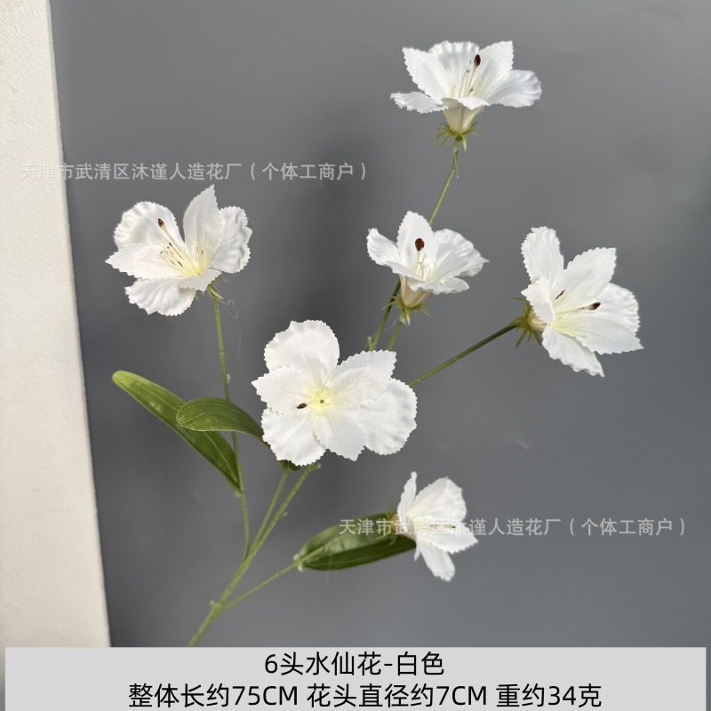 수선화 6송이