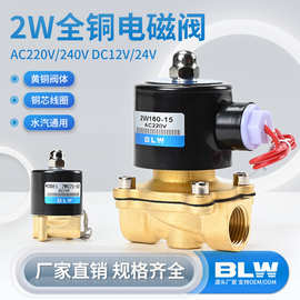 2W全铜电磁阀二位二通常闭电磁阀水阀气阀纯铜线圈AC220VDC24V