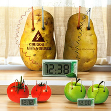 绿色供电土豆钟 发电能源数字时钟 发电闹钟创意科教实验玩具