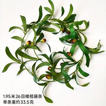 ���R�d�����ϙ���ٗl������쾰�ϙ��~�羳����Gֲ�b����l