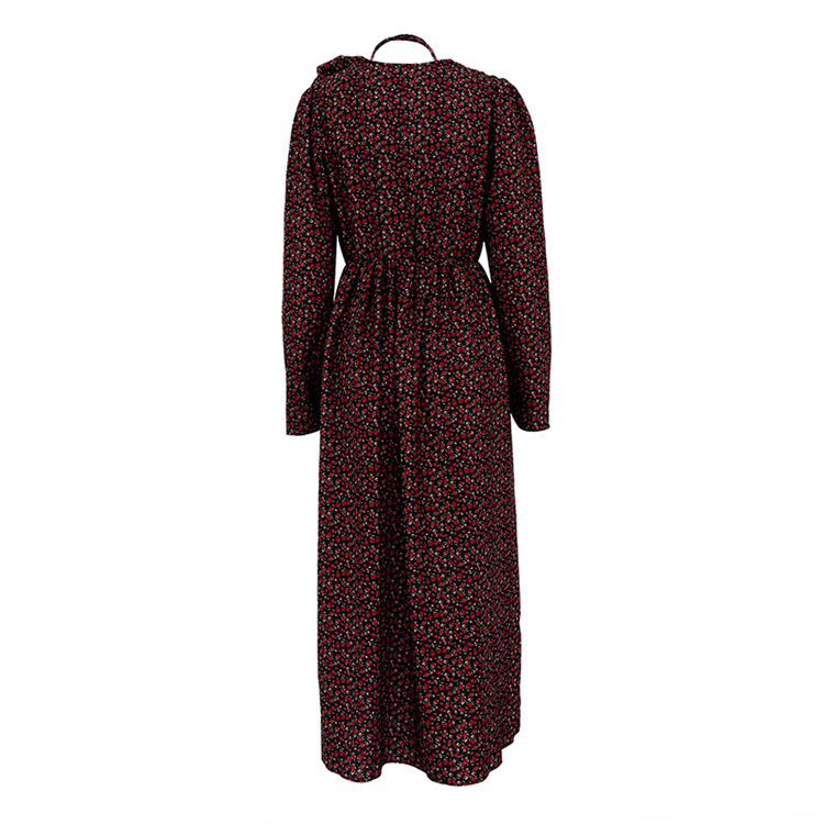 Women's Regular Dress Elegant V Neck Printing Long Sleeve Ditsy Floral Maxi Long Dress Daily Street display picture 14